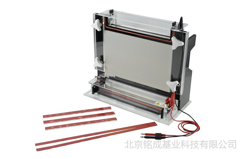 JY-CX2B型 测序电泳槽 君意东方